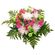 Alice. This tender and touching bouquet of chrysanthemums and carnations will be a great reminder about warm days you&#39;ve spent together. . Den Haag