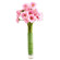 pink gerberas in a vase. Den Haag